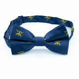 AASR - Bow Tie