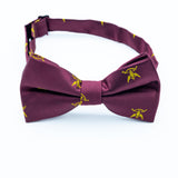 AASR - Bow Tie