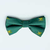 AASR - Bow Tie
