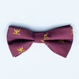 AASR - Bow Tie