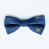 AASR - Bow Tie